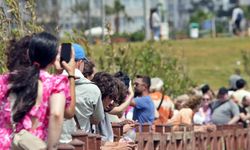 Antalya'da Ramazan Bayramı yoğunluğu: Turistler uçurum kenarında kenarında poz veriyor!