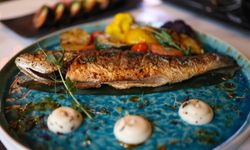 Erzincan'daki en iyi balık restoranları: Erzincan'da balık nerede yenir?
