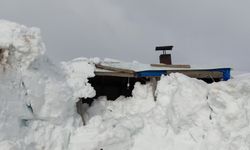 Ardahan'da kış bitmek bilmiyor! Bülbülan Yaylası'nda kar kalınlığı 3 metreye ulaştı!