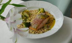 Bingöl'deki en iyi balık restoranları: Bingöl'de balık nerede yenir?