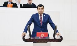 CHP Ankara Milletvekili Deniz Demir kimdir?
