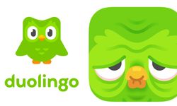 Duolingo neden üzgün? Duolingo ikonu neden üzgün baykuş?