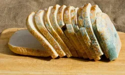 Küflenen ekmek zehirler mi? Uzmanlar açıkladı, bu hatayı sakın yapmayın!
