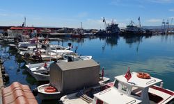 Marmara'da balık bitti! Tekirdağlı balıkçılar erken paydos etti