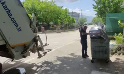 Bursa'da vahşet: Çöp konteynerinde ayı bulundu!