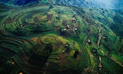 Ruanda nerede? İngiltere'nin Ruanda Planı nedir?