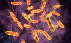 Sinsi bakteri her yıl milyonlarca insanı hasta ediyor! Sağlığınızı korumak için bilmeniz gerekenler neler?