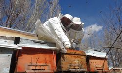 Sivas'ta endemik bitkilerin balı: Doğal bal nasıl anlaşılır?