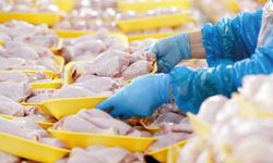 Ticaret Bakanlığı duyurdu: Tavuk ihracatı yasaklanacak mı?