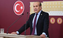 Özgür Özel, Recep Tayyip Erdoğan görüşmesine Namık Tan eşlik edecek