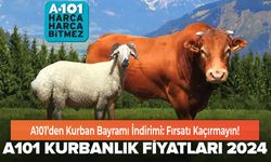 A101’den Kurban Bayramı İndirimi: Fırsatı Kaçırmayın!