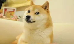 Dogecoin'in simgesi hayatını kaybetti