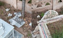Elazığ'da mezar taşları tahrip edildi!