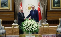 Erdoğan Bahçeli görüşmesi: Erdoğan Bahçeli'yle ne konuşacak?