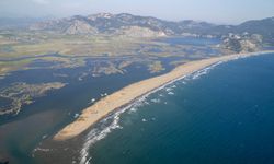 Doğanın İncisi: İztuzu Plajı ve Dalyan Kanalı'nın Büyüleyici Hikayesi