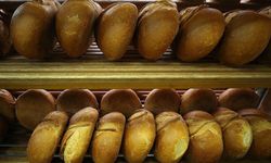 Trabzon'un coğrafi işaretli ürünü: Vakfıkebir Ekmeği nasıl yapılır? Vakfıkebir Ekmeğinin özelliği nedir?