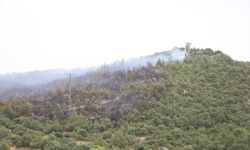 Balıkesir'de üst üste orman yangınları... Dün Bigadiç orman yangını bugün İvrindi orman yangını