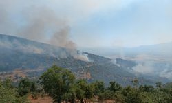 Manisa'da yangın: 5 bin dönümlük alan küle döndü
