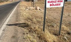 Şanlıurfa'da kuduz paniği: İki mahallede karantina ilan edildi
