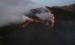 Denizli'deki orman yangınları: 5 İlçede söndürüldü, 2 ilçede mücadele devam ediyor