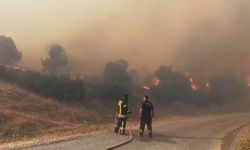 Aydın’da yangın paniği: Tarım arazisinden ormanlık alana yayıldı