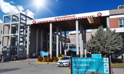 Kırşehir'de acemi kasap bilançosu: 197 kişi hastanelik oldu