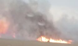 Yangın felaketi: Eskişehir'de 50 dönüm buğday yok oldu