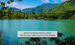 Artvin'de nerede mangal yapılır? Artvin'de mangal yapılacak muhteşem 7 yer!