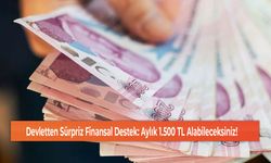 Devletten Sürpriz Finansal Destek: Aylık 1.500 TL Alabileceksiniz!