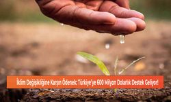 İklim Değişikliğine Karşın Ödenek: Türkiye’ye 600 Milyon Dolarlık Destek Geliyor!