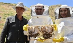 Sason'da Başlatılan Proje: Mereto Dağı'nda Doğal ve Kaliteli Bal Üretimi