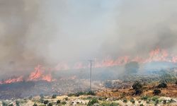 İZSİAD'dan yangınlar için seferberlik çağrısı