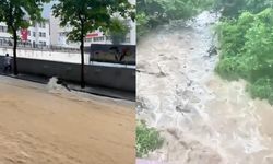 Gümüşhane’deki sel felaketinin görüntüleri şoke etti: Ağaçlar ve ayı sürüklendi!