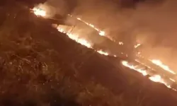 Diyarbakır'daki yangın korkuttu: 4 kişi dumandan etkilendi