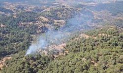 İzmir Karşıyaka'da orman yangını 3 saatte kontrol altında