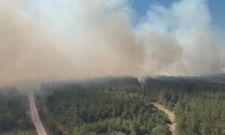 Bursa'da orman yangınları için önlem zamanı: 1 Temmuz'dan itibaren ormanlara giriş yasak!