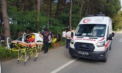 Samsun'da otomobil kontrolden çıktı ağaca çarptı: 2 yaralı!