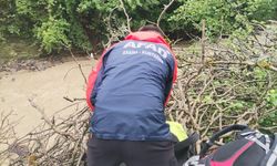 Şiddetli yağışlar Ordu'yu vurdu: Yaşlı kadın hayatını kaybetti
