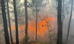 Gediz'deki orman yangını: 4 helikopter ve 2 uçakla müdahale edildi