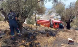 Aydın'da aynı yer yeniden yandı!