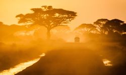 Afrika sıcakları ne zaman gelecek 2024? 2024 yaz ayı nasıl geçecek?