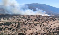 Aydın Çine'de orman yangını çıktı: Havadan ve karadan müdahale ediliyor