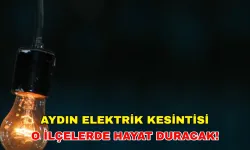7 Temmuz'da Aydın'da hayat duracak! Aydın elektrik kesintisi hangi ilçeleri etkilenecek? -Aydem Elektrik kesintisi (ADM)