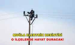 17 Temmuz'da Muğla'nın çoğu ilçesinde elektrik kesintisi! Hangi ilçeler etkilenecek? Aydem Elektrik kesintisi (ADM)