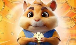 1 milyon coin kazandıran Hamster Kombat 5 Temmuz 2024 günlük şifre al