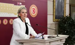İYİ Parti'den istifa eden İstanbul Milletvekili Nimet Özdemir kimdir?