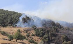 İzmir Valisi Elban'dan Bornova yangını hakkında flaş açıklama