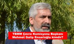 TBMM Çevre Komisyonu Başkanı Mehmet Galip Ensarioğlu kimdir?