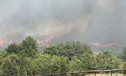 Foça'daki yangın sona erdi: 50 hektar orman alanı zarar gördü