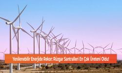 Yenilenebilir Enerjide Rekor: Rüzgar Santralleri En Çok Üreteni Oldu!